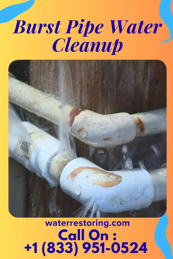 Burst Pipe Water Cleanup in Mill Creek, WA