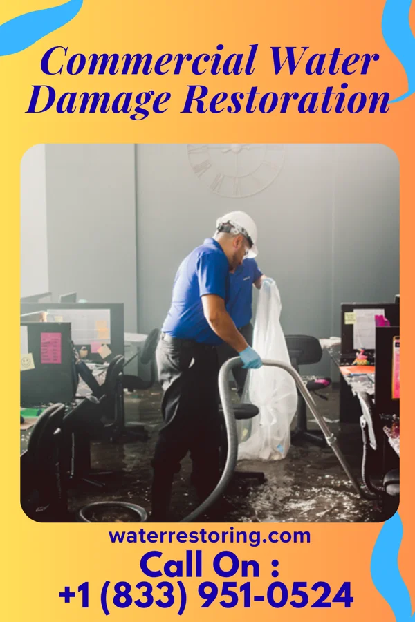 Commercial Water Damage Restoration in Mill Creek, WA
